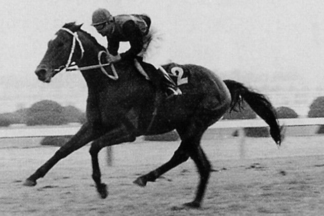 名馬列伝】日本競馬史上初の五冠馬・シンザンの生涯。実況アナが思わず「消えた！」と叫んだ伝説のラストラン（THE  DIGEST）｜ｄメニューニュース（NTTドコモ）