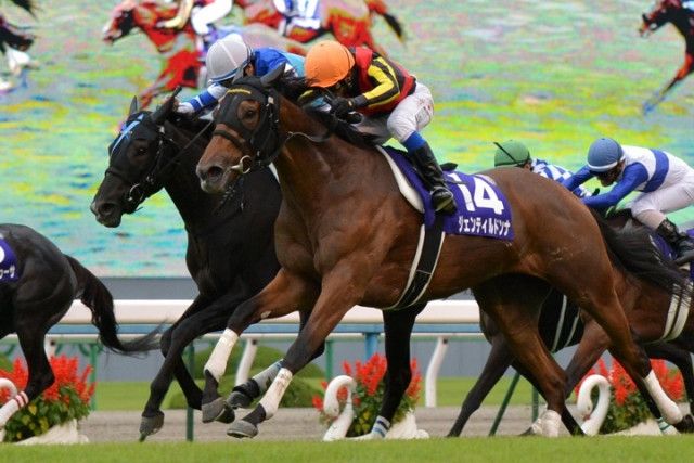 名馬列伝】「牝馬の枠に収まらない」デビュー前のジェンティルドンナに抱いた石坂調教師の直感。牝馬三冠は偉大な貴婦人物語の序章に過ぎない＜前編＞（THE  DIGEST）｜ｄメニューニュース（NTTドコモ）