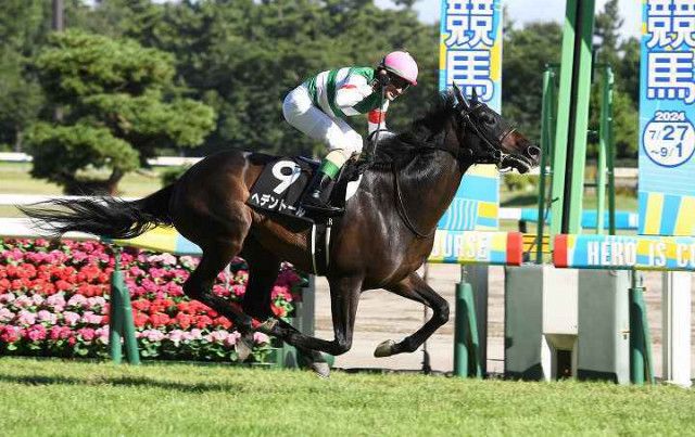 クラシック三冠の“最終戦”となる菊花賞、G１初挑戦となる期待の上がり馬ヘデントールを主力に抜擢したい！（THE  DIGEST）｜ｄメニューニュース（NTTドコモ）