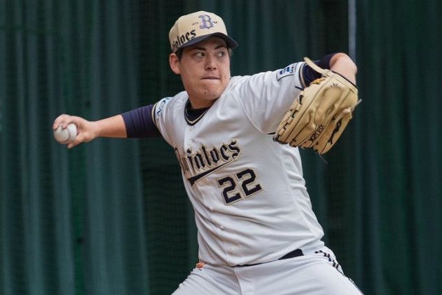 注目あの【岡本和真】選手 カード1枚 自慢！【最高です！】 侍ジャパン！