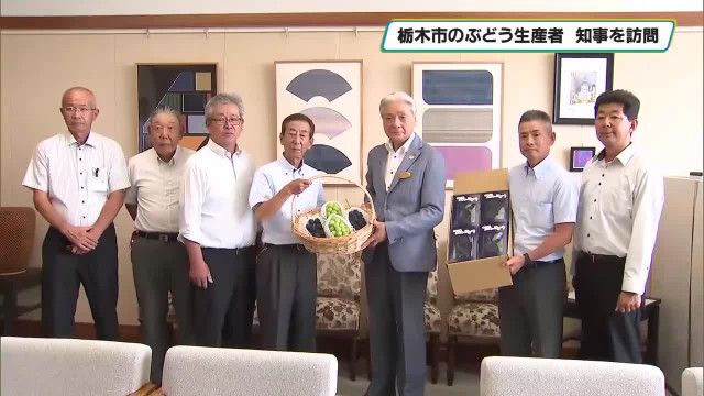 栃木市のぶどう生産者　知事に今年の出来栄えを報告