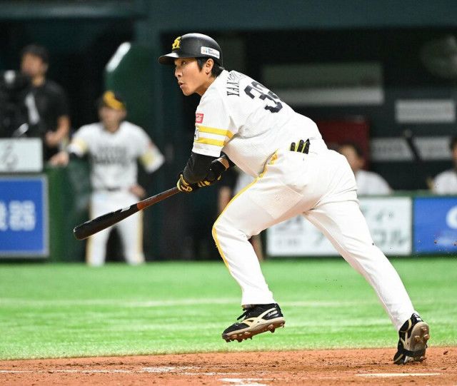 NPBバット 周東佑京