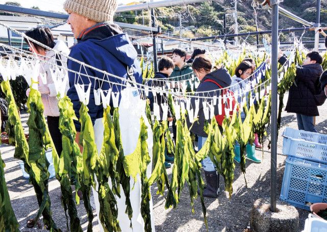 逗子市小坪漁港で海×ＴＥＣＨプロジェクト実行員会が海の変化を五感で味わう体験イベントを実施〈逗子市・葉山町〉