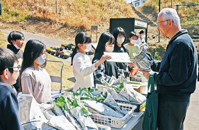 虹ヶ丘小 のらぼう菜を栽培・販売 ５年生23人が体験〈川崎市麻生区〉
