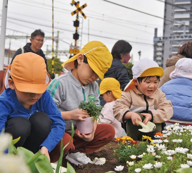 ｢きれいに咲いてね｣ 園児と地域団体が花植え〈川崎市川崎区・川崎市幸区〉
