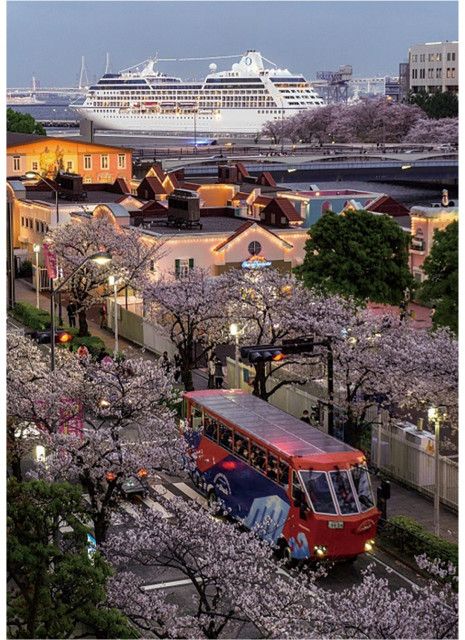 横浜市 フォトコン入賞作を展示 横浜港と客船 テーマに〈横浜市港南区・横浜市栄区〉