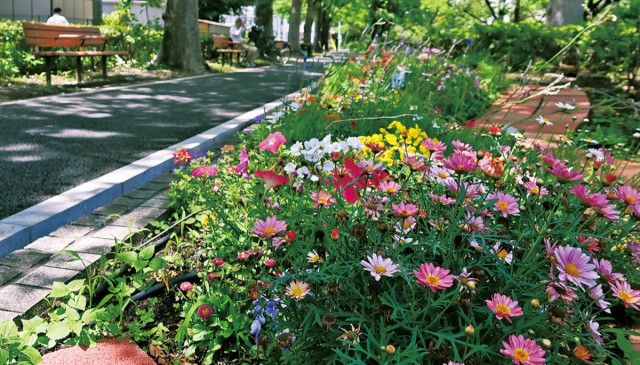 今井上町緑道　再整備、9花壇が誕生　地元団体、園児らで管理〈川崎市中原区〉