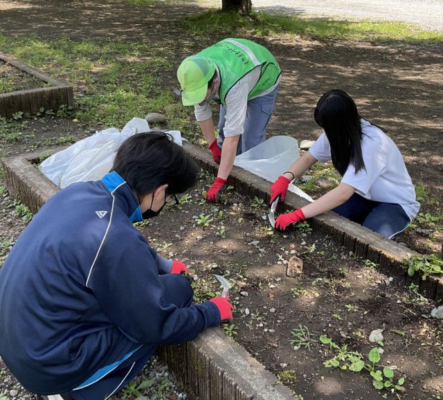 青和学園 地域で仕事に挑戦 ８年生が職場体験〈相模原市緑区〉
