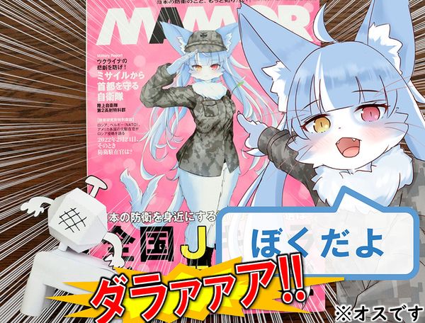おまねこ」御前崎分屯基地の公式キャラから“転出!?” 今後の展開