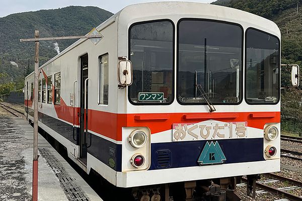 廃線を「自分で運転」してみた！  “あの日のまま”の線路と列車で「は、速い！」「停まらない…!?」運転士が心底スゴいと思った件（乗りものニュース）｜ｄメニューニュース（NTTドコモ）