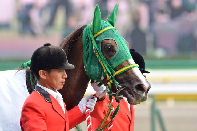 ［チューリップ賞］勝利はせずとも魅力いっぱい！　個性豊かなチューリップ賞2着馬たち