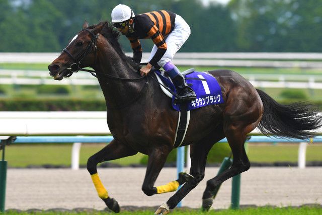 ［キタサンブラック伝説］競馬初心者の私を競馬ファンに変えた、あの日の3分12秒5