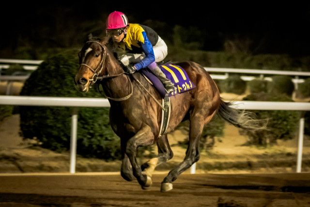 地方レース回顧］復活のダービー馬！再び奏でる『夜想曲』〜2024年・佐賀記念〜（ウマフリ）｜ｄメニューニュース（NTTドコモ）