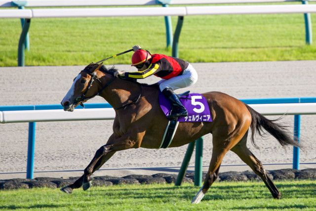 重賞回顧］秋晴れに輝く2つ目のティアラ  盤石の競馬で突き抜けたチェルヴィニアが二冠達成〜2024年・秋華賞〜（ウマフリ）｜ｄメニューニュース（NTTドコモ）