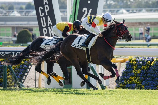 一口馬主］トップを目指せ！ 2歳世代、今週の勝ち上がり馬たち 2024/11/2,3（ウマフリ）｜ｄメニューニュース（NTTドコモ）