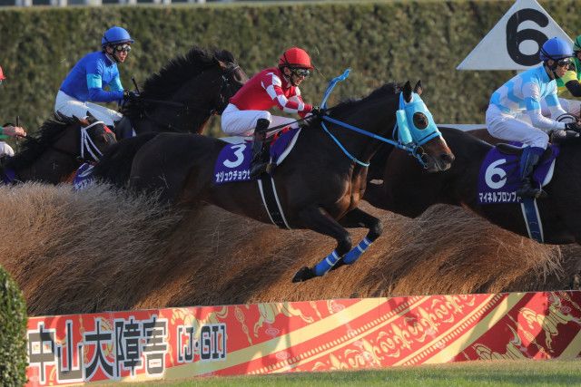 蛇行する男と真っ直ぐ駆ける王者。名馬オジュウチョウサンを振り返る（ウマフリ）｜ｄメニューニュース（NTTドコモ）