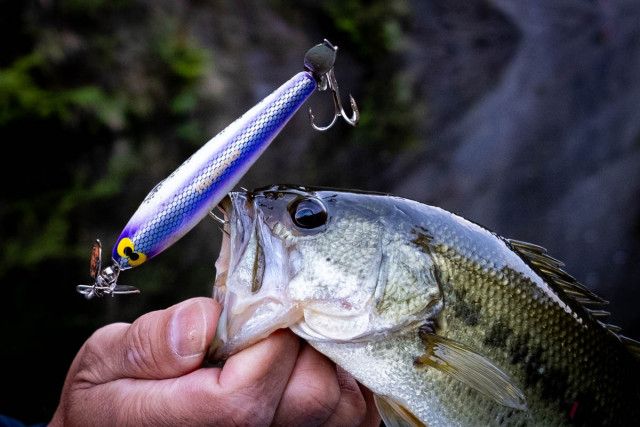 なぜ手作りにこだわる？ “水面系バスアングラー”が行き着く「ハンドメイド ルアー」の世界  大量生産にない魅力とは？（VAGUE）｜ｄメニューニュース（NTTドコモ）