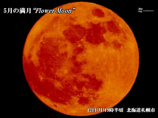 満月「フラワームーン」が夜空を照らす（ウェザーニューズ）｜d