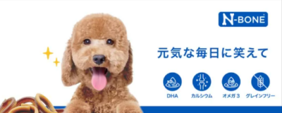 アメリカで大人気の天然歯磨きブランドN-BONE＜Nボーン＞から “米粉”主成分の愛犬用デンタルケア商品が日本に初上陸！