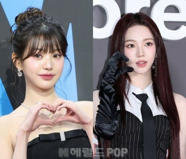 IVE 韓国 ソウルコン ウイング ヘアピン トレカ ウォニョン 羽根