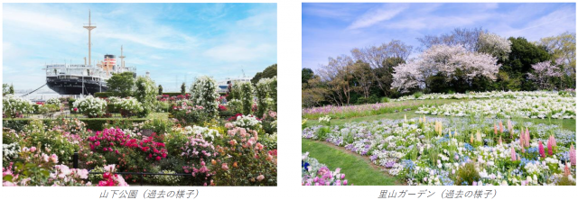 横浜で咲き誇る花々を楽しむ「ガーデンネックレス横浜2024」3月23日より開催！新たな日本最大級の園芸イベントの開催や花グルメも登場