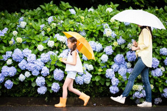 【関東】梅雨に人気のおでかけスポット19選！完全室内施設からあじさいスポットまで徹底解説