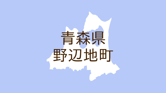 (青森)野辺地町野辺地付近で声かけ 2月2日午後