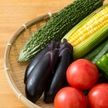 プロ直伝「新鮮な夏野菜」の選び方