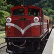 台湾観光の顔 登山鉄道が完全復活へ