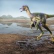 丹波篠山の恐竜化石　新種と判明