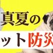 巨大地震起きたらペットどう守る？