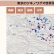 東京都HPに「クマ痕跡」マップ