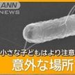 食中毒が増加 動物との接触にも注意