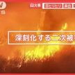 LA山火事　ハリケーン級強風の予測