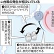 次々に台風発生 日本の南海上で何が