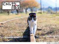 ねこ駅長が映画デビュー！芦ノ牧温泉駅のネコたちを描いた「劇場版にゃん旅鉄道」2022年夏に公開