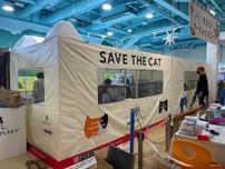 観覧車の下に巨大なネコ型テントが出現！岐阜県最大級の複合型レジャー公園で保護猫の譲渡会が開催中
