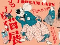 擬人化されたネコの面白さとは？歌川国芳作品の魅力に迫る「もしも猫展」が名古屋市博物館で開催