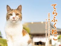 お寺で暮らす猫たちのレアショットも収録、那須の長楽寺から新しい写真集『てらふくねこ』が登場