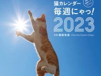 ネコたちのとびきり面白いシーンをたっぷり収録！写真家・藤範智誠さんによる猫カレンダーが発売