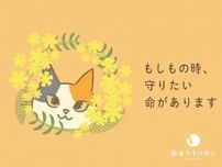 https://cat-press.com/cat-news/necosei-tasukeai