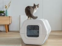 AIスマート猫トイレ「ルルペット」が日本初上陸！排泄物を画像認識して自動で分析＆異常を検知するとスマホに通知