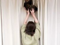 カーテンの単独登頂に成功した猫さん、そこから降りてもらおうと猫を支える飼い主さんの後ろ姿が甲斐甲斐しい