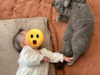 大天使ガブリエルみたいな猫ちゃん現る！赤ん坊と一緒に寝ころぶ姿が、受胎告知の構図にそっくりで神々しい