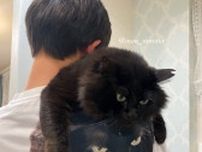 【完全に一致】猫のプリントTシャツを着たご主人に背負われる黒猫ちゃん、境目が分からなくて爆笑の嵐