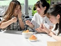 全部メロン…スイーツや食べ比べ11店舗が集結　福井で6月23日まで「まつり」
