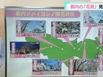 東京のソメイヨシノ、開花状況　見頃は？多摩は？この先の天気は？