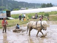 野外保育で馬耕体験　長野県中川村の「もりっこ」