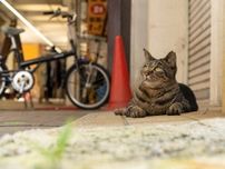 東京の下町で「なんてことない路地」を写した写真を消去できない理由