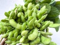 旬の枝豆を買ったら絶対やって！管理栄養士が教える枝豆のいちばんおいしい食べ方